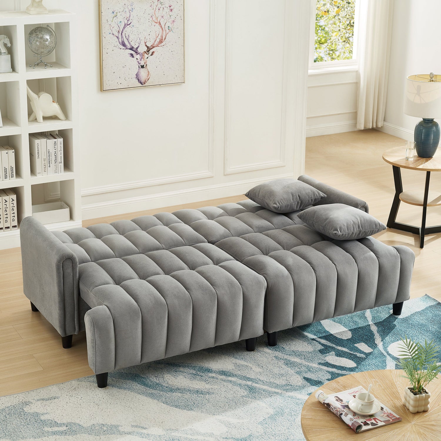 Sleeper Sofa