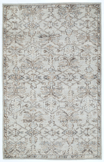 Traditional Distressed Hand Knotted Wool Area Rug