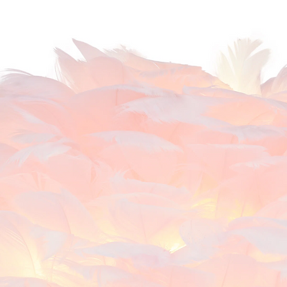 25548174